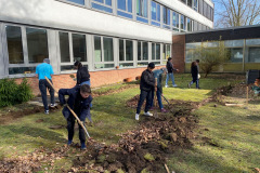 Ackerdemie-15