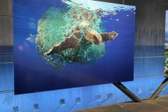 MicrosoftTeams-image-3