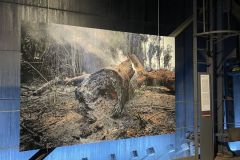 MicrosoftTeams-image-5