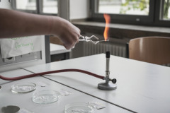 TodT-4
